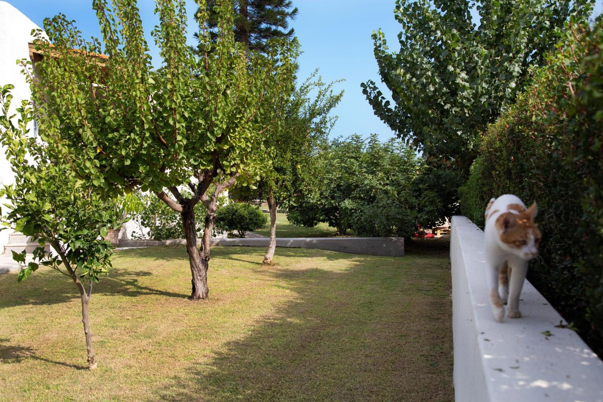 Apartamento Sitia Oceanides Exterior foto